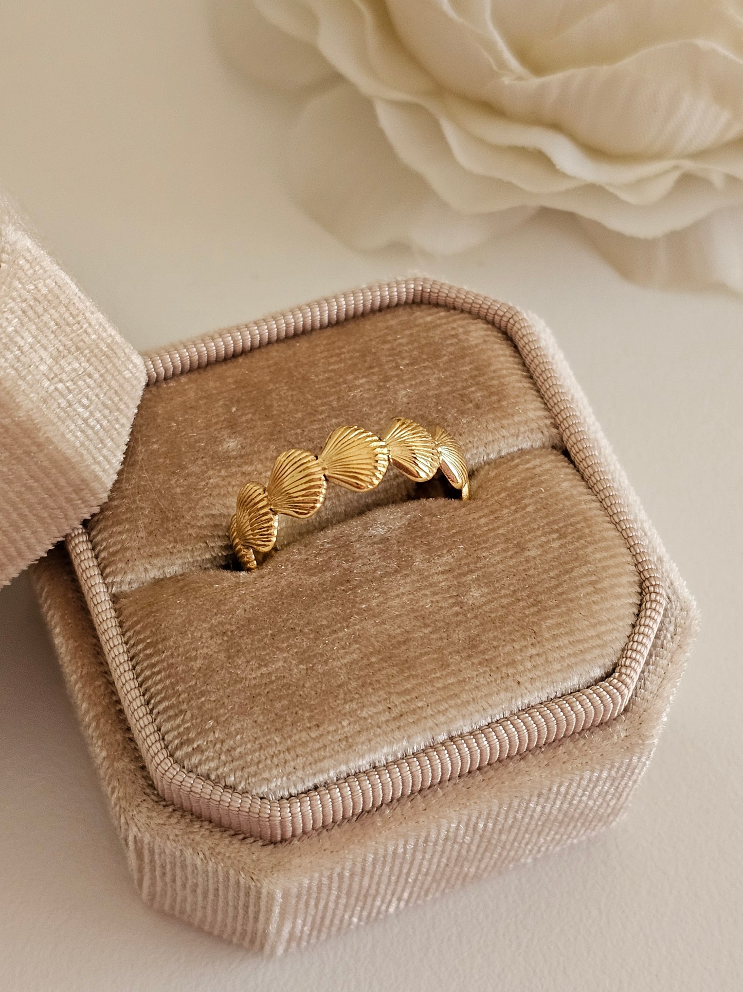 DARIA SHELL RING