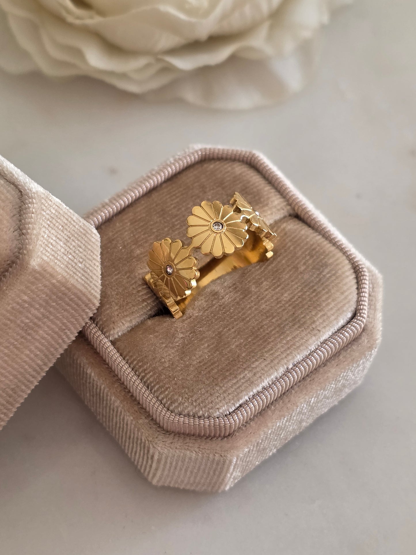 IVA RING