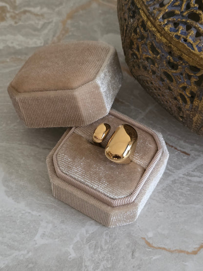 NINA RING