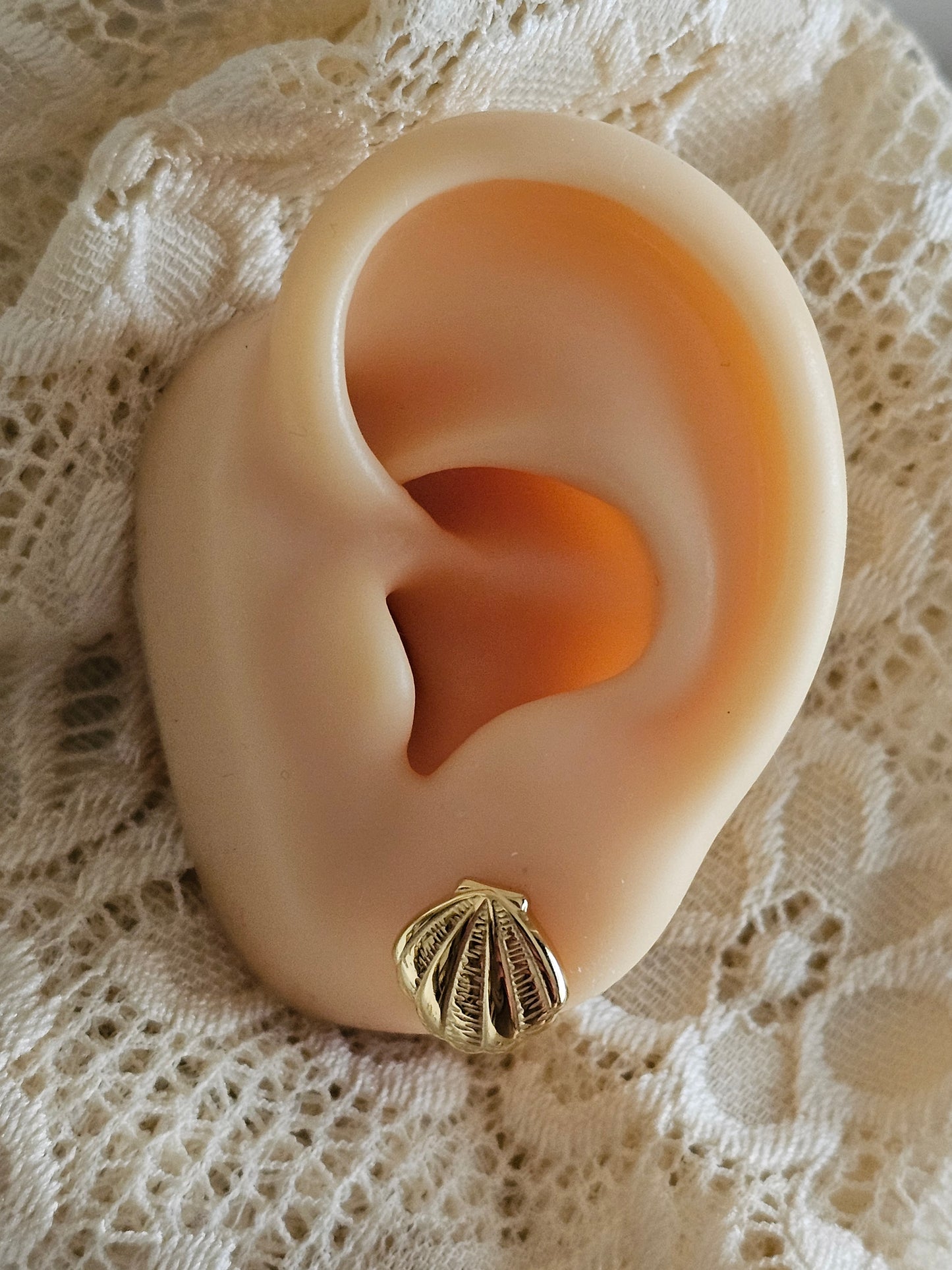 Gold plated stainless steel small shell earrings