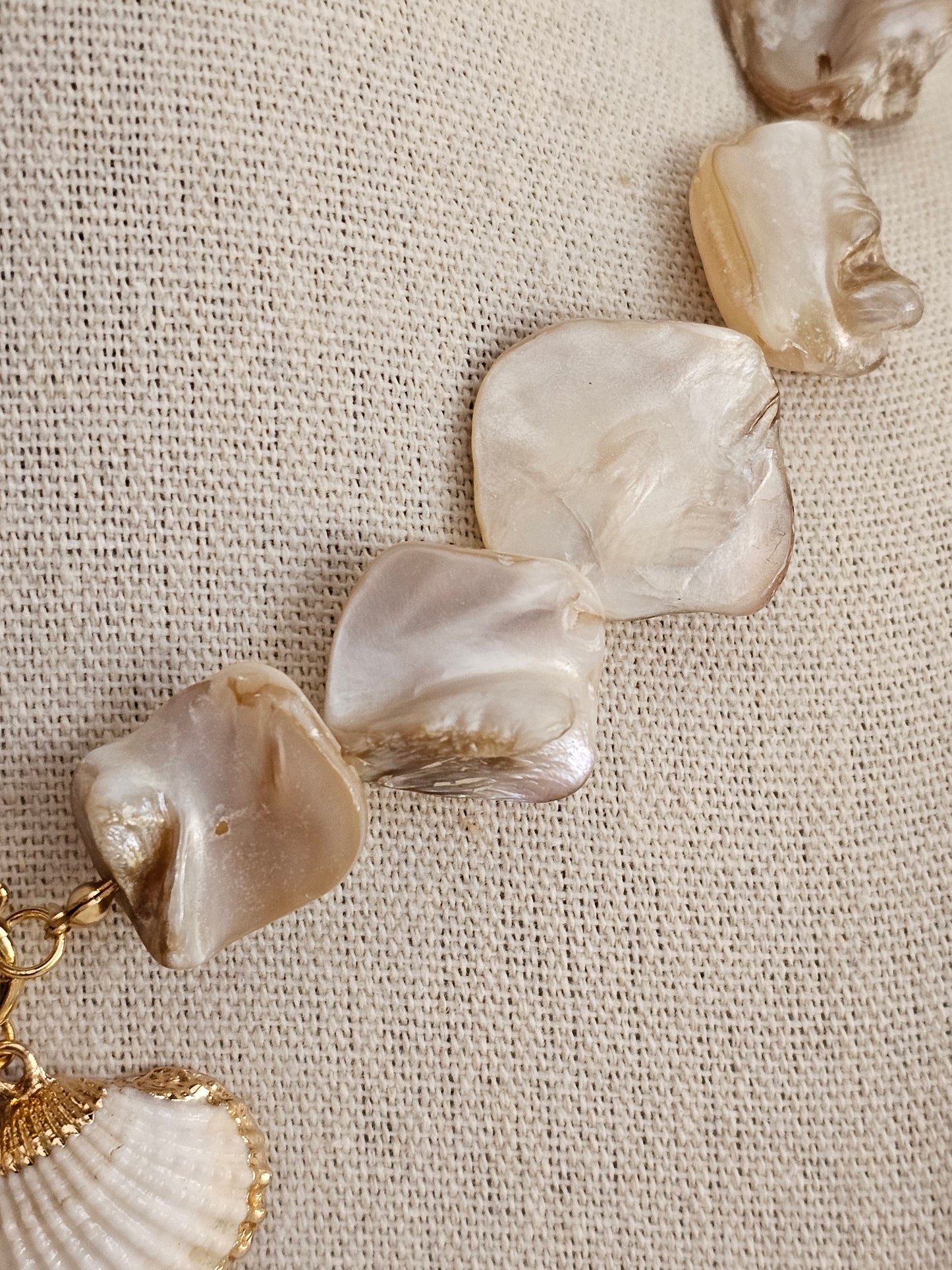 HIRA SHELL CHARM NECKLACE