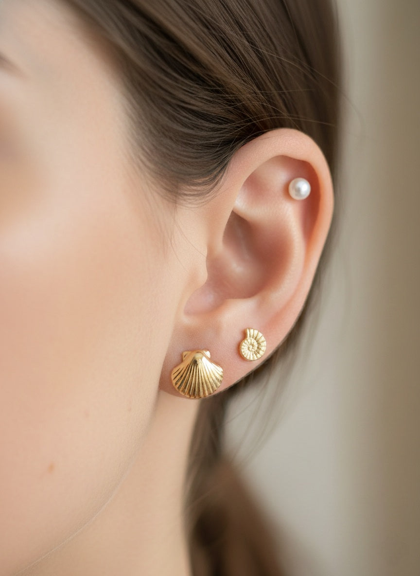 SINA SHELL EARRING SET